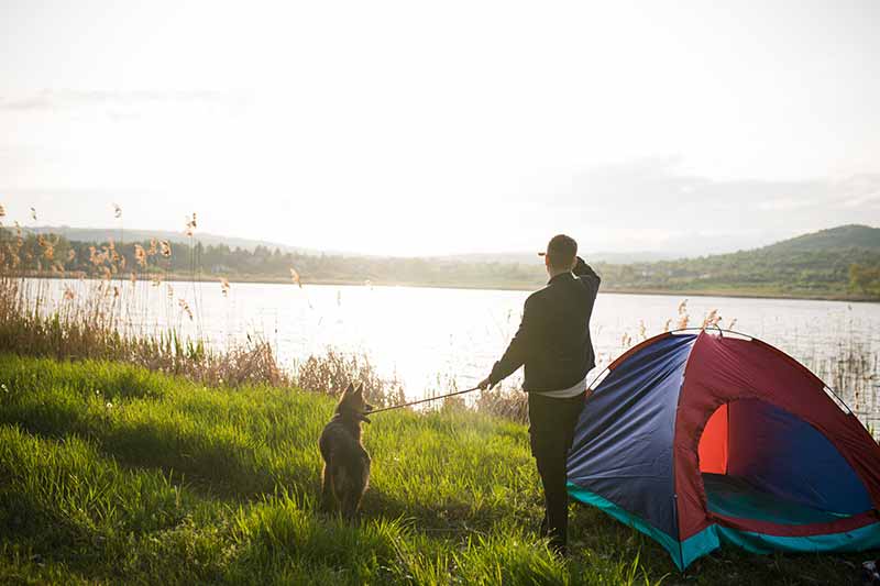 Pet prevention is a necessity for the health of pets who spend time outside Dog and man camping