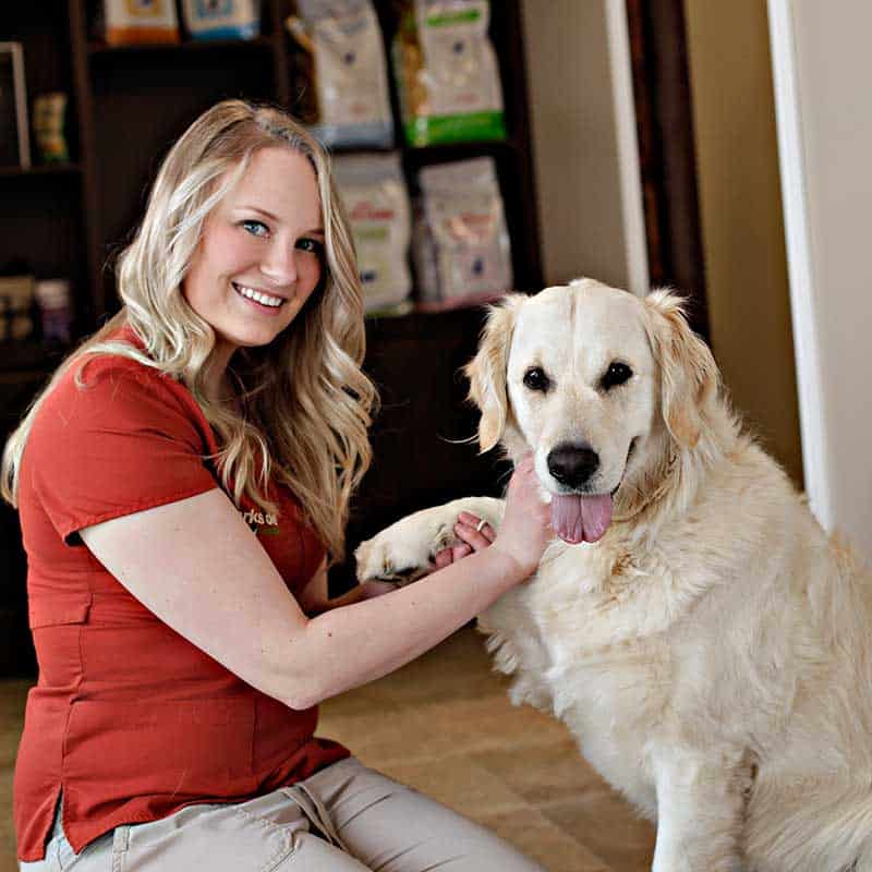 A golden retriever with a staff member