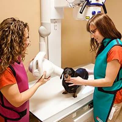 Parkside team taking dental x-rays