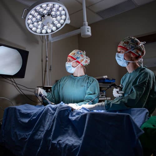 Parkside team performing surgery