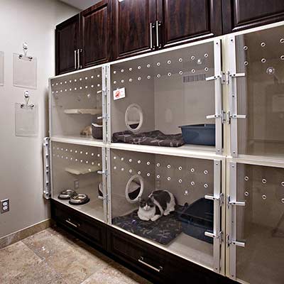Cat kennel room