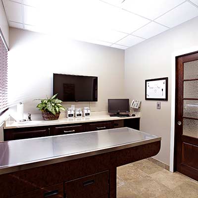 Large dog exam room